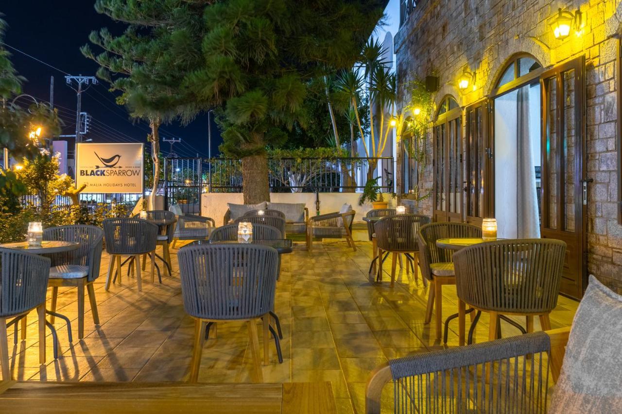 Hotel Malia Holidays Eksteriør bilde